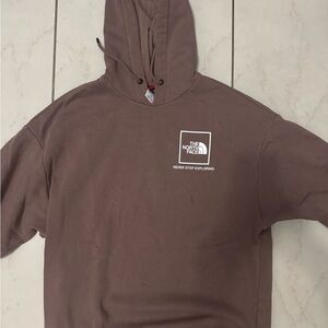 The North Face Men's Brown Hoodie